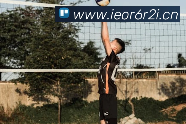 mk sports平台生态图